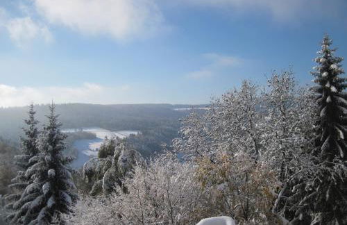 Appartementhaus Schwarzwaldblick - Foto 49