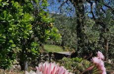 Casa Vetrialla I - Foto 20