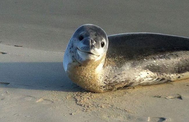Freycinet Dream - Foto 12
