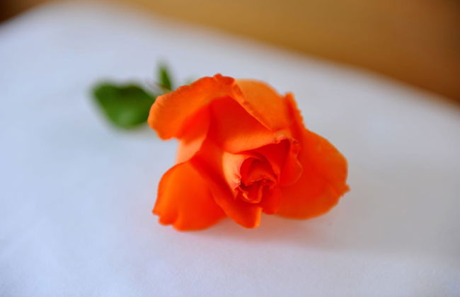 Andros Maisonettes - Photo 26