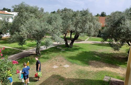 Tra Ulivi E Mare - Foto 13