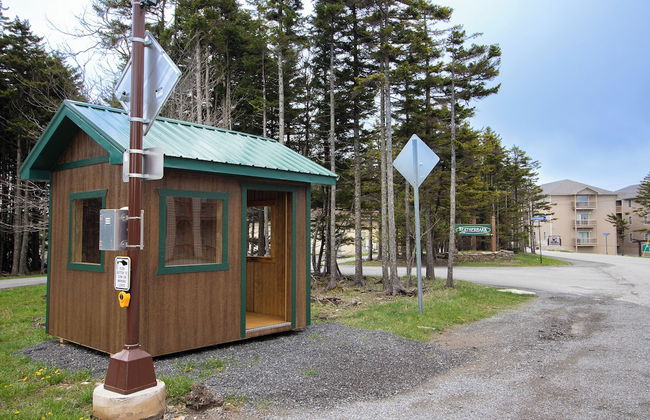 Leatherbark - Foto 14