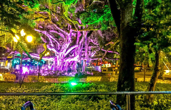 Ônibus turístico por Florianópolis ao entardecer - Foto 8