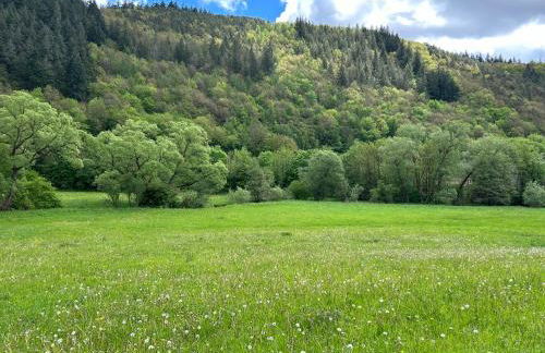 Wellness-Ferienhaus mit Dampfbad & Sauna am Nürburgring - Foto 30