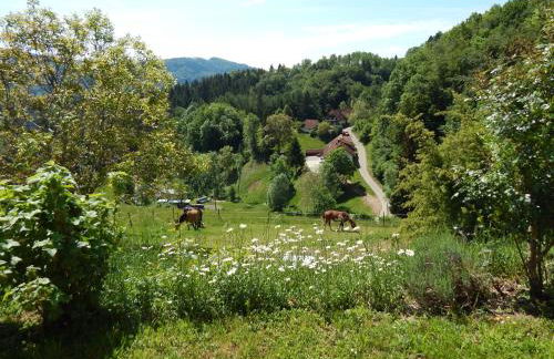 Schwedenhaus Raich - Foto 8