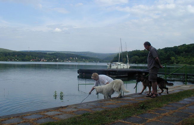Müllers Ferienhaus Leitenhof - Photo 10
