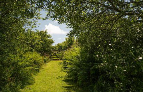 Naut Retreat - Idyllic hideaway with hot tub, gym & gamesroom ideally located in Zennor near St Ives - Photo 60