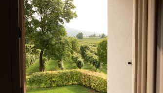 Azienda Vitivinicola Ca' Manin - Foto 4