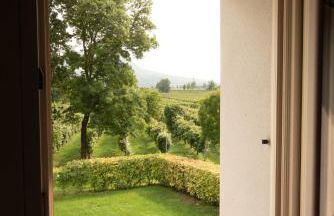 Azienda Vitivinicola Ca' Manin - Foto 4