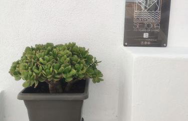 Setoija Guest House - Foto 20