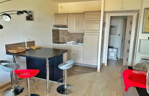 Grand Studio Avec Piscine Presqu'île De Giens - Foto 4