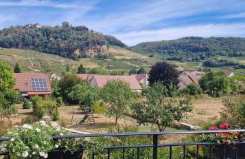 Gite des Cépages - Foto 27