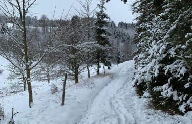 Ferienhaus im Kumbachtal - Foto 26