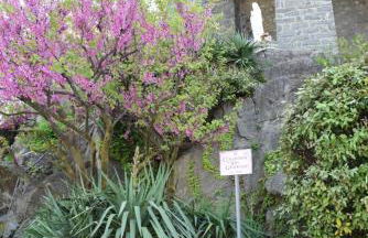 residenza la roggia - Foto 11