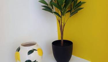 El Oasis Morado - Foto 4