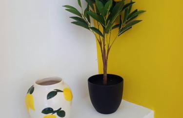 El Oasis Morado - Foto 4