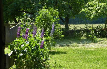 Ferienwohnung im Spreewald in idyllischer Alleinlage - Foto 22