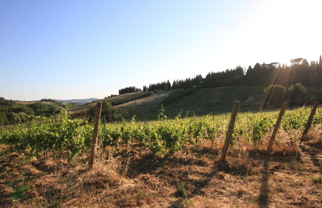 Azienda Agricola I Colli di Marliano - Photo 24