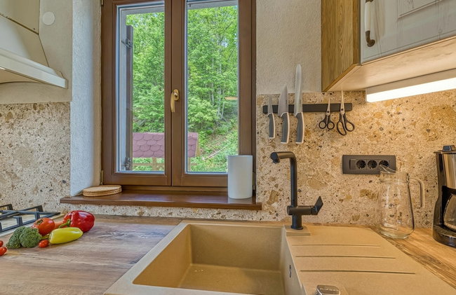 Riverside Resort Stari Malni Kolpa - Foto 14