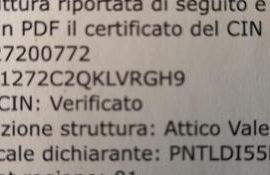 Valentino Cellini - Foto 23