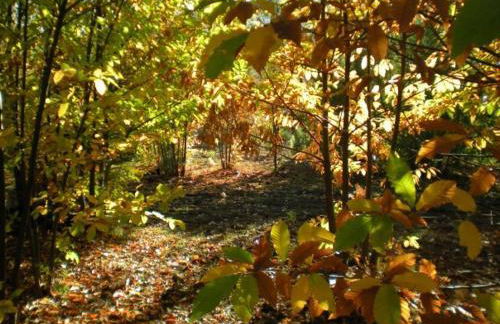 Puerto Roque Turismo Rural - Foto 9