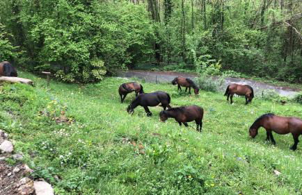 Residence Ai Laghi - Foto 14