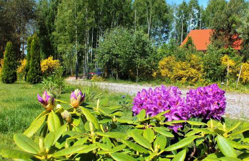 Sumówko Leśne Siedlisko - Foto 29