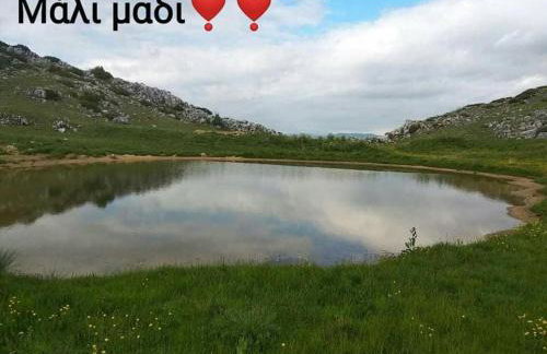 KASTORIA DENDROCHORI Retreat & Rest - Photo 21