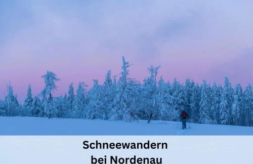 Ferienhaus Grimme - 350m2, 18 Betten - mit Indoorspielplatz, Pool, großer Terrasse, Grill, Sauna, Kicker, Dart, uvm - ideal für Familien - Foto 61