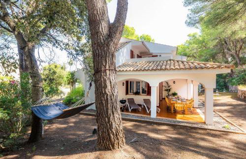 Can Botana 1 - Photo 23