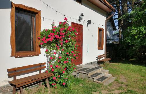 Wigierska Chatka - Foto 16