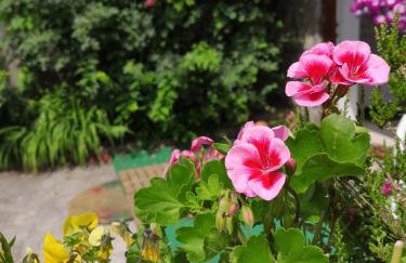 Studio Apartment Unity - Photo 29