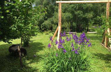 Planinska kuća Dasović - Foto 28