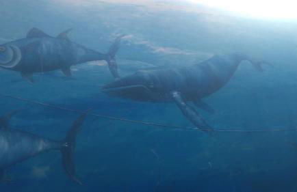 Cielo y Mar infinito - Foto 61