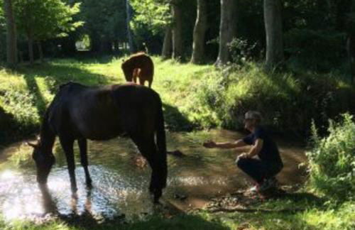 Domaine de Valmeray Gîte - Foto 26