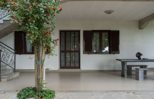 Rosa Bacara - Foto 31