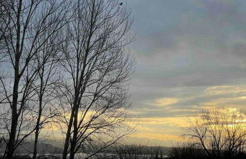 Lakeview Home by Lightrail Downtown & Airport - Foto 4