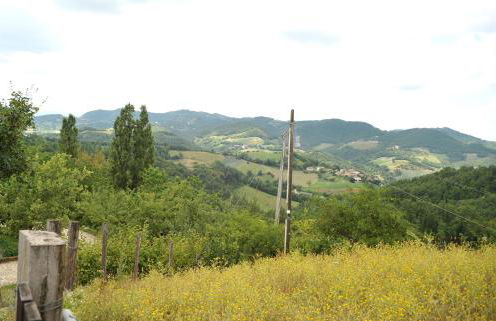 Agriturismo Campo del Pillo - Foto 73