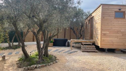 La Tiny House des Oliviers et son jacuzzi - Foto 4