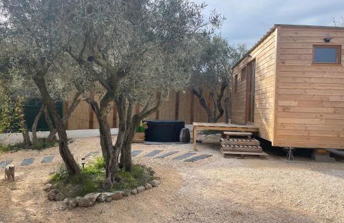 La Tiny House des Oliviers et son jacuzzi - Foto 4