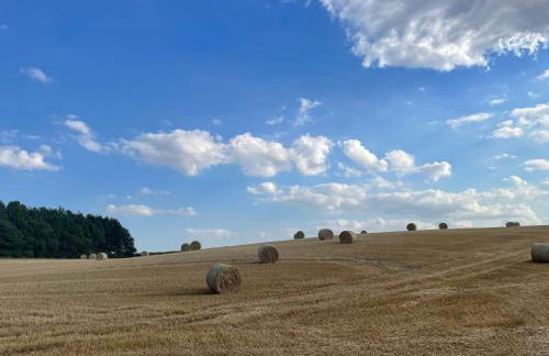 The Garden House - Photo 26