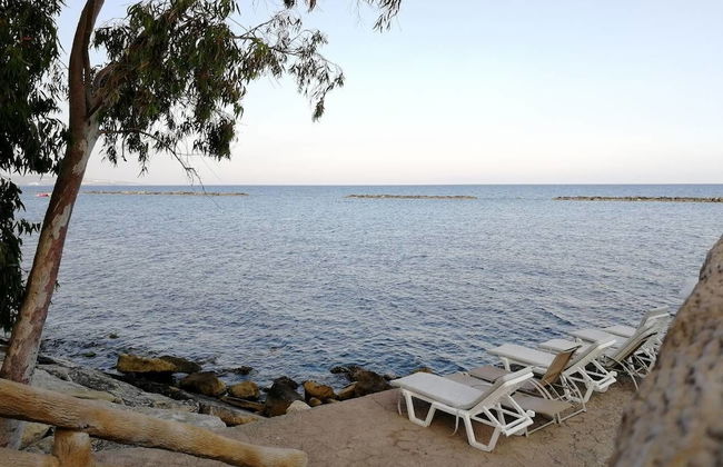 V.I.P. Galatex - Foto 38