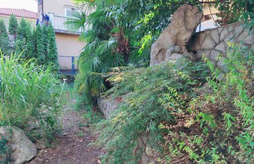 Green house - Foto 21