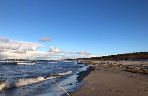 Błękit Żuław - Photo 11