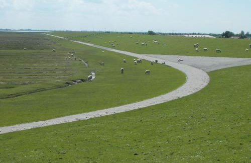 Ferienwohnung-Austernfischer - Foto 19