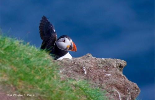 Glengolly Getaways - Foto 10