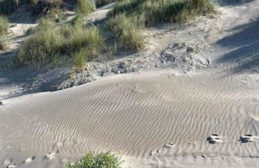 Stella Mare charmante maison proche du Touquet - Foto 45