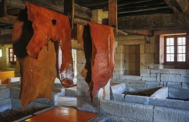 Torre Lombarda - Foto 36