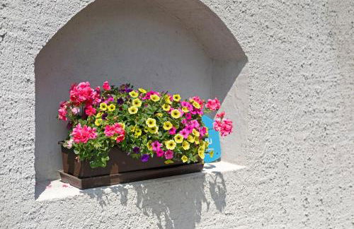 Bertollhof Apfelerlebnis - Foto 31