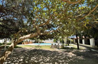 Chácara Soares Melo - Foto 48